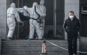 هولندا تسجل 101 حالة وفاة جديدة بكورونا