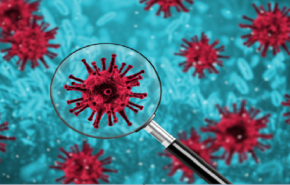  الكشف عن أسباب ظهور فيروسات جديدة