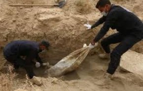 کشف گور دسته‌جمعی با 200 جسد در یک زمین کشاورزی در سوریه