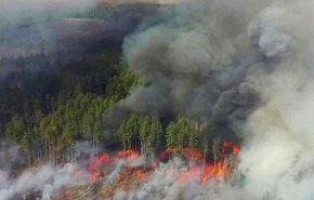 آتش سوزی عمدی و گسترده جنگل های اطراف چرنوبیل در اوکراین