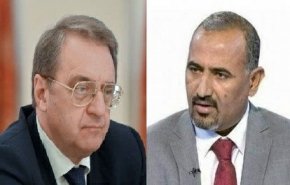 رئیس شورای انتقالی جنوب یمن با معاون وزیر خارجه روسیه گفت‌وگو کرد