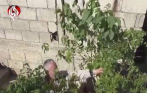 شاهد .. السوريون يبتكرون الزراعة فوق اسطح المنازل لمواجهة العزل