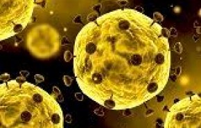 سلالة جديدة أشد عدوى من كورونا تجتاح العالم! 