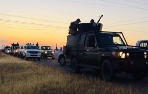 بازداشت 15 داعشی در نینوی توسط الحشد الشعبی
