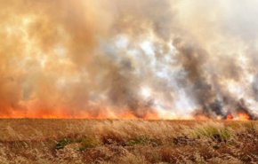 شاهد.. حرائق مرعبة في المحاصيل الزراعية في ريف الحسكة السورية