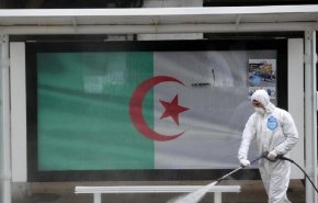 الصحة الجزائرية تحذر من حشرة خطيرة تسبب أمراض لا علاج لها