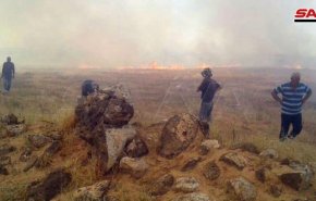 شاهد..إخماد حريق كبير على الحدود السورية الأردنية