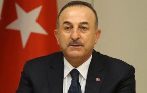 ترکیه: شورای امنیت ناکارآمد است