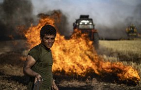 حرائق القمح شرقي سوريا مفتعلة وتقف دولة وراءها