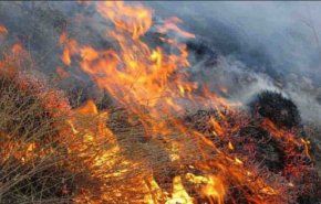 فيديو.. استمرار الحريق في مرتفعات كجساران الايرانية