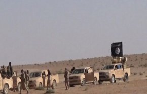 ادعای منابع اطلاعاتی غرب: داعش در حال تجدید قوا است
