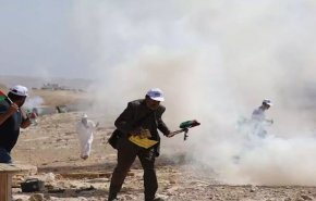 نابلس... القوى والفصائل تؤكد ضرورة الذهاب للميدان للتصدي للاحتلال