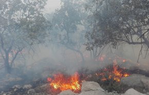 اندلاع حرائق في محمية طبيعية بمنطقة 'خائيز' غربي ايران