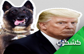 لماذا هدد ترامب المحتجين بالكلاب؟!