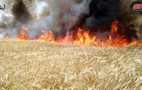 کشف بالن آتش‌زای آمریکایی در زمین‌های کشاورزی سوریه