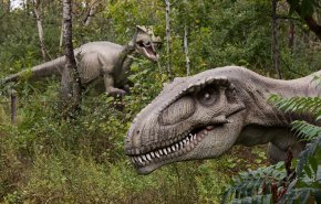 العلماء يكتشفون شكل أقدام ديناصورات عاشت قبل 190 مليون عام+صور