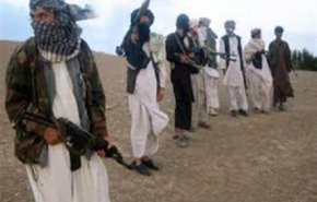 سجناء طالبان المفرج عنهم مشروع مقاتلين جدد