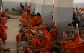 كم عدد الدواعش العراقيين في سجون 