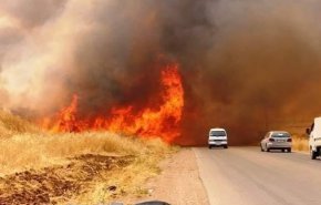 مقام سوری: آمریکایی‌ها مزارع گندم سوریه را آتش می‌زنند
