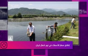 إطلاق صغار الأسماك في نهر شمال ايران