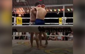 بالفيديو.. الضربة القاضية تسقط ملاكمين في آن واحد