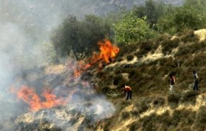بالفيديو..مستوطن يضرم النار متعمدا في أراضي الفلسطينيين