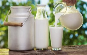الحليب الطازج خطر يهدد الصحة!