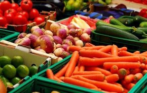 المنتجات الزراعیة والغذائية تشكل 20.7 % من صادرات إيران