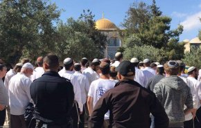بحماية قوات الاحتلال مستوطنون يقتحمون المسجد الاقصى