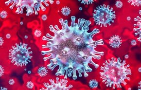 دانشمندان انگلیسی: عمر ویروس کرونا در سرما ۱۰ برابر می‌شود
