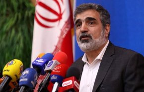 كمالوندي: ايران مستعدة للتعاون مع الدول الاخرى في مجال التكنولوجيا النووية