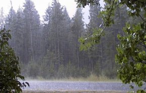 سازمان هواشناسی در باره رگبار باران، رعد وبرق و برخورد صاعقه هشدار داد