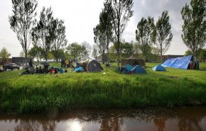 بالصور.. لاجئون مصريون وسوريون يحتجون في هولندا 
