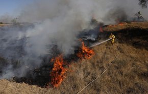 6 آلاف حريق متعمد بمحيط مستوطنات الضفة منذ بداية 2021
