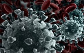 تقرير يكشف عن مفاجأة حول أول ظهور لفيروس كورونا 
