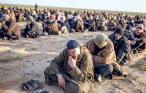 سازمان ملل: فعالیت بیش از 10 هزار عضو داعش در سوریه و عراق