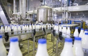 ايران تنتج 11 مليون طن من الحليب سنويا