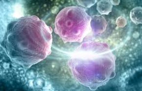 اكتشاف مذهل.. فيتامين يدمر خلايا سرطان الرئة