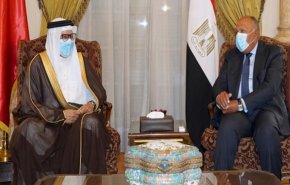 مصر و بحرین، بر مقابله با مداخلات خارجی تأکید کردند