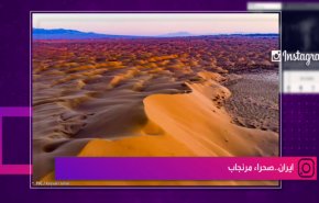 ايران..تربية النعام في محافظة هرمزكان