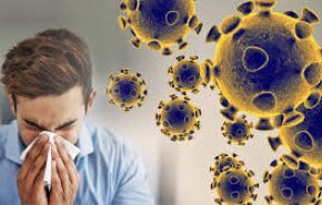 هر آنچه که باید درباره آنفلوآنزا و کرونا بدانید را در این خبر بخوانید
