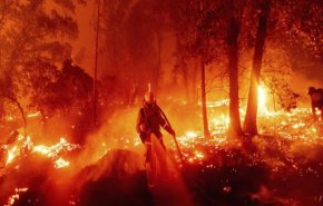 اخلاء مئات المنازل بعد اجتياح حرائق الغابات لولاية كاليفورنيا