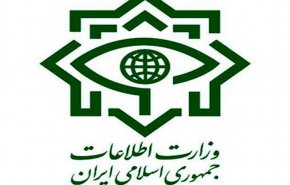 وزارت اطلاعات، شبکه سازمان یافته‌ دلالان و سوداگران دارویی را کشف و دستگیر کرد
