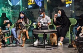 مقهى لعشاق الكلاب في السعودية!