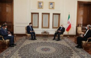 دیدار سفیر سوریه با ظریف در پایان ماموریتش در تهران
