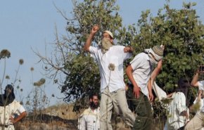 حمله شهرک‌نشینان صهیونیست به کشاورزان فلسطینی
