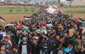 دهها فلسطینی توسط نیروهای صهیونیست مصدوم شدند
