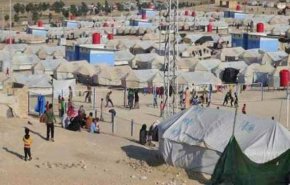 جدیدترین آمار از ساکنان بزرگترین اردوگاه داعش در سوریه

