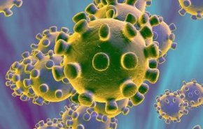 ما هو المصدر الرئيسي لانتشار الفيروس التاجي؟