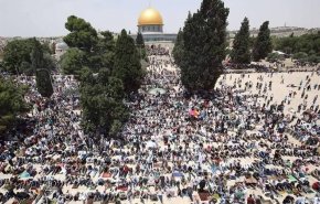 اعلام روز خشم ملت فلسطین در دفاع از پیامبر اسلام(ص)